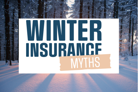 winter myths