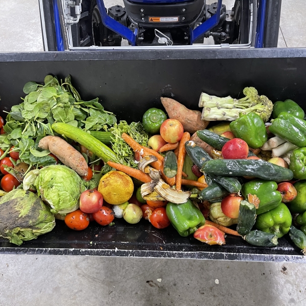 Food scraps